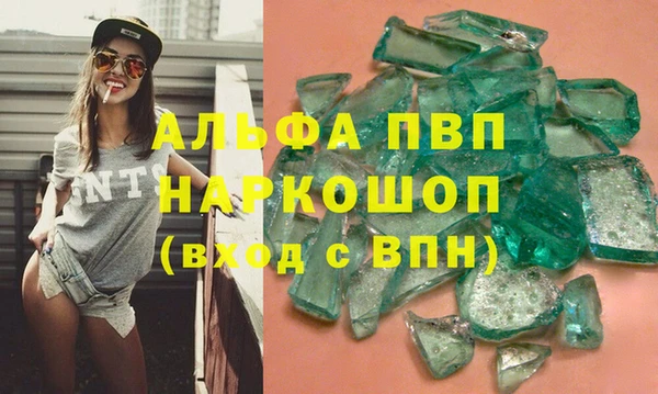 прущие грибы Вяземский