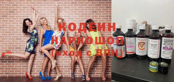 прущие грибы Вяземский