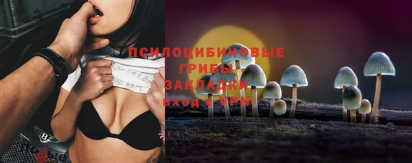 Альфа ПВП Вязьма