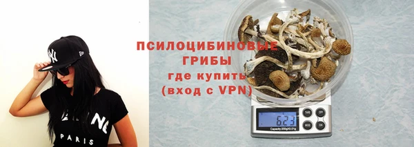 прущие грибы Вяземский