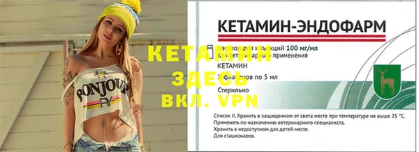 прущие грибы Вяземский