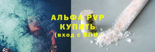 прущие грибы Вяземский