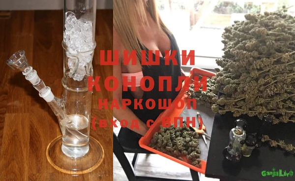 прущие грибы Вяземский