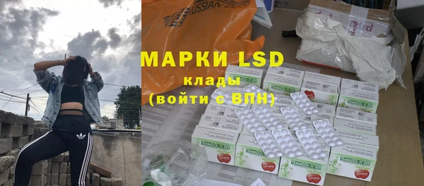 прущие грибы Вяземский