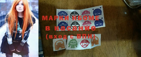 прущие грибы Вяземский