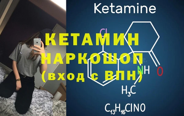 прущие грибы Вяземский