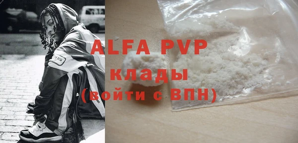 прущие грибы Вяземский