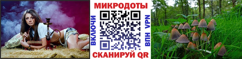 наркошоп  ОМГ ОМГ ONION  Галлюциногенные грибы мицелий  Мценск 